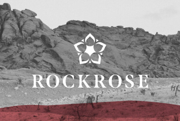 Marketing and Design Agency - Poloko - Northern Beaches - Rockrose