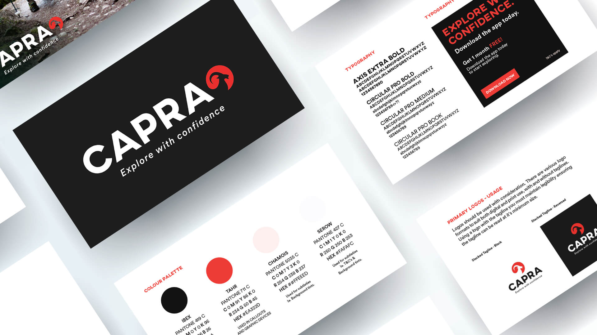 Marketing and Design Agency - Poloko - Northern Beaches - Capra