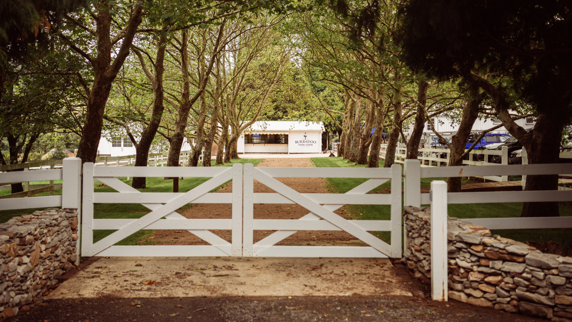 Burradoo Park Farm Logo Animation Southern Highlands Australia Three Blue Ducks Best Restaurant Branding Marketing